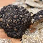 Comment ramasser des truffes ?